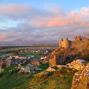 Y Branwen Restaurant & Rooms - Adult Only And Dog Friendly